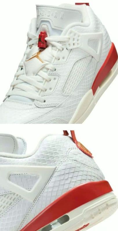 NIKE JORDAN SPIZIKE ジョーダン スパイクリー エルブエロ