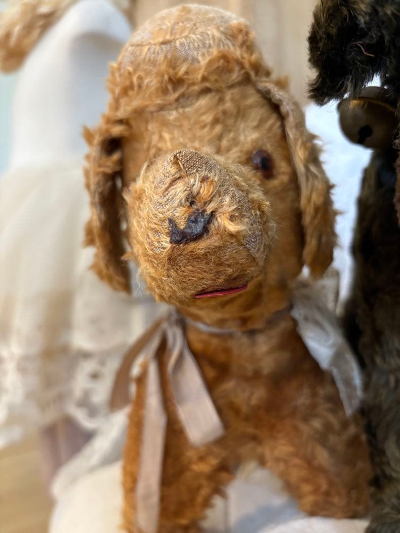 フランスアンティーク 犬 アンティークテディベア アンティークベア