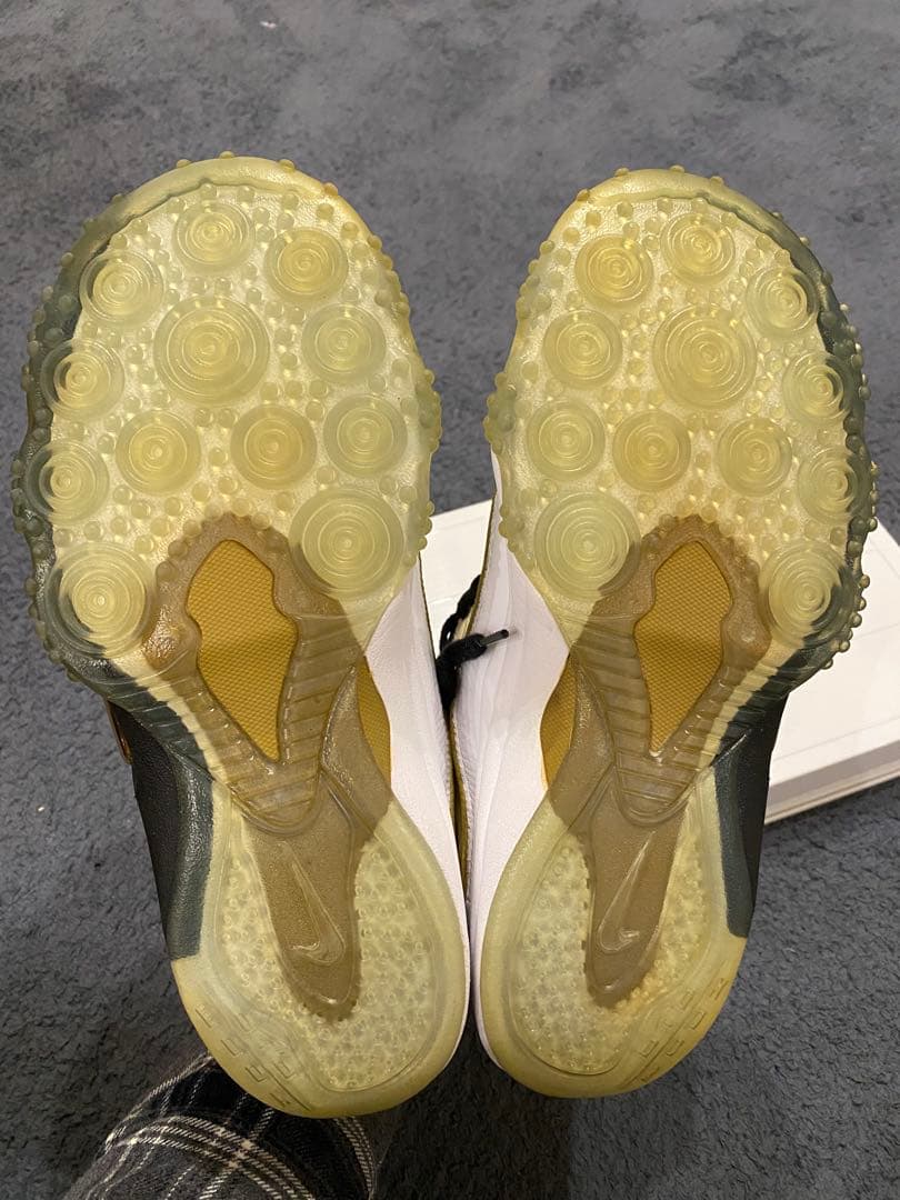 Nike Zoom uptempo5 zoomfright5 バッシュ　田臥勇太