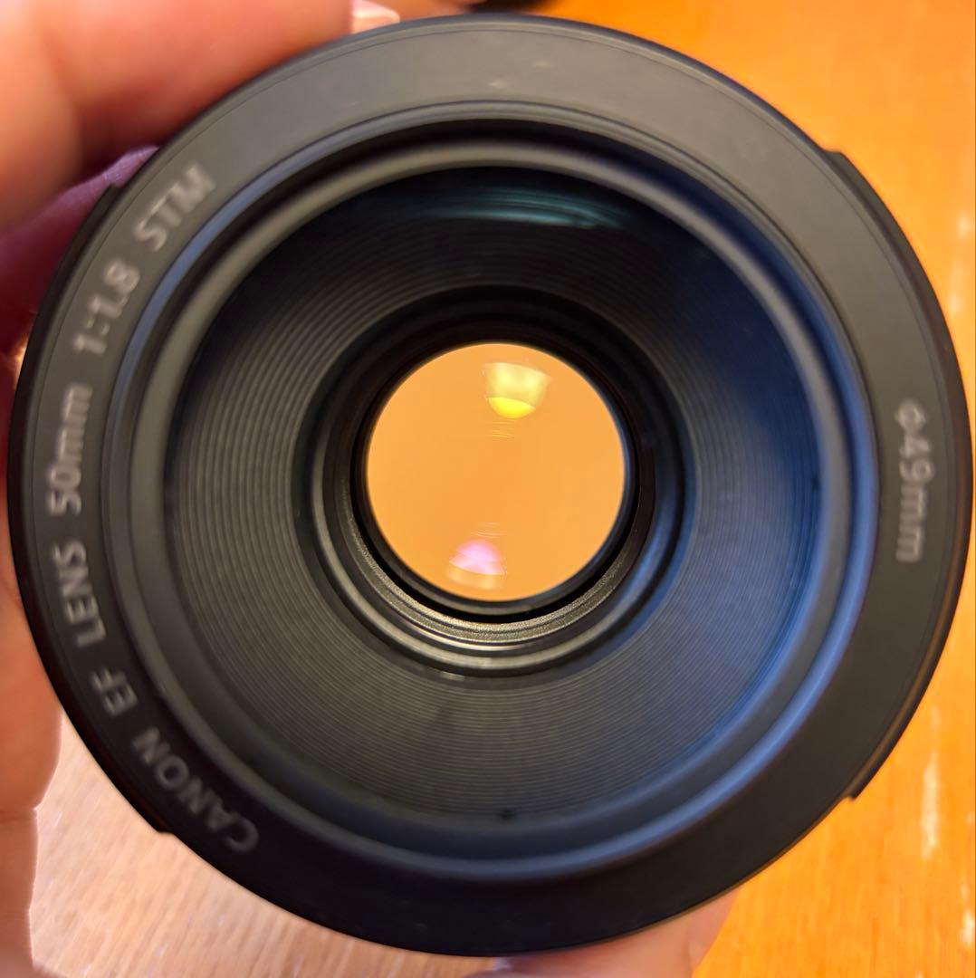 Canon EOS RP ボディ・マウントアダプター・レンズセット