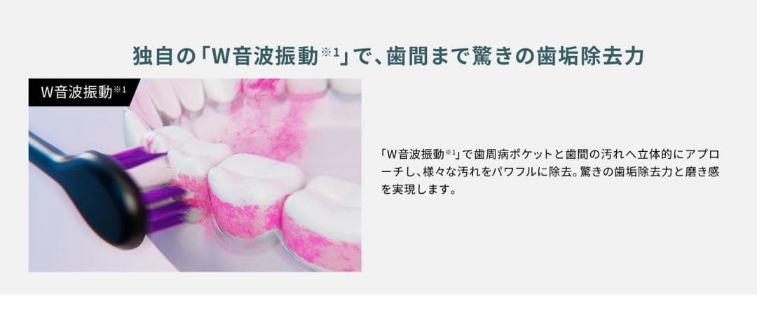 パナソニック 音波振動ハブラシ ドルツ 最上位モデル EW-DT63-S