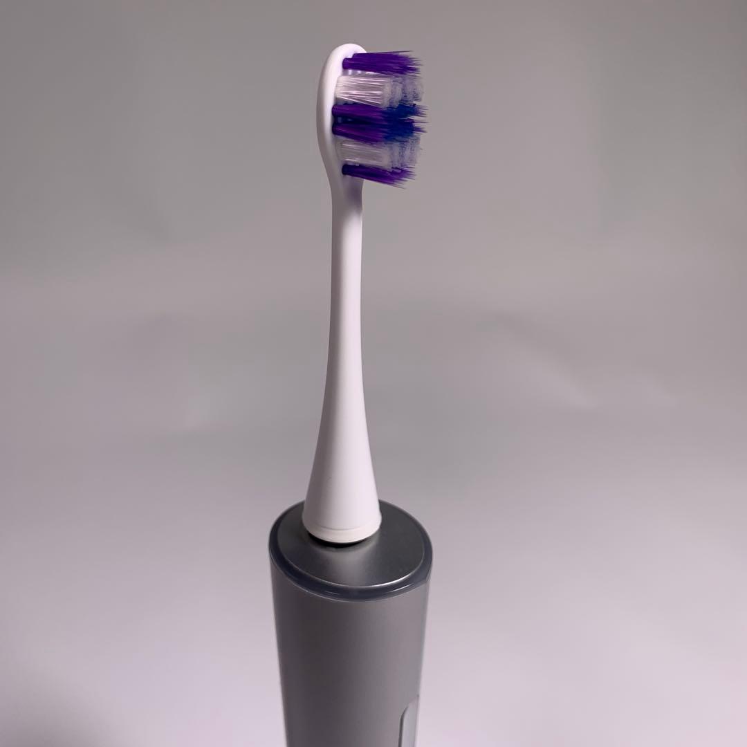 パナソニック 音波振動ハブラシ ドルツ 最上位モデル EW-DT63-S