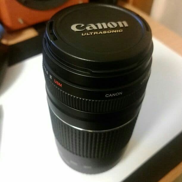 Canon ズームレンズ 75-300mm f4-5.6