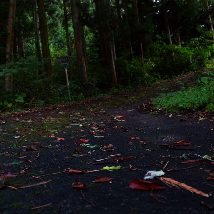 Canon ズームレンズ 75-300mm f4-5.6