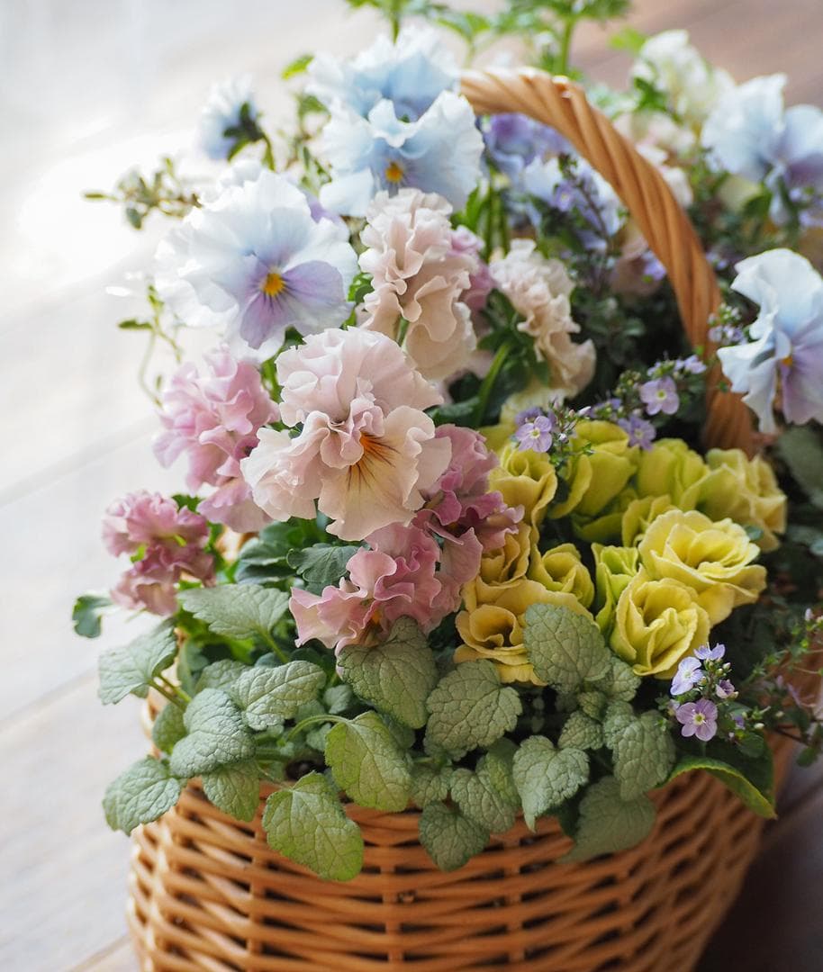 オーバルバスケットのパステルカラー寄せ植え