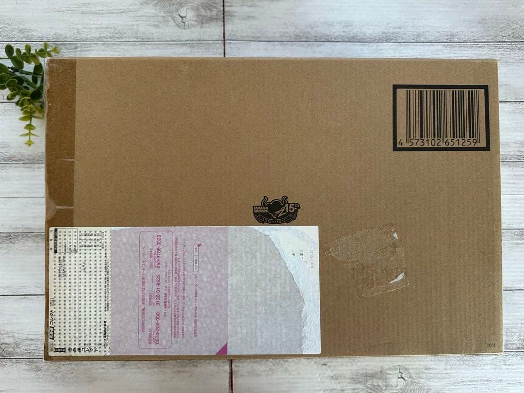 劇場版　VF-1S ストライクバルキリー(一条輝機)メカニックエディション