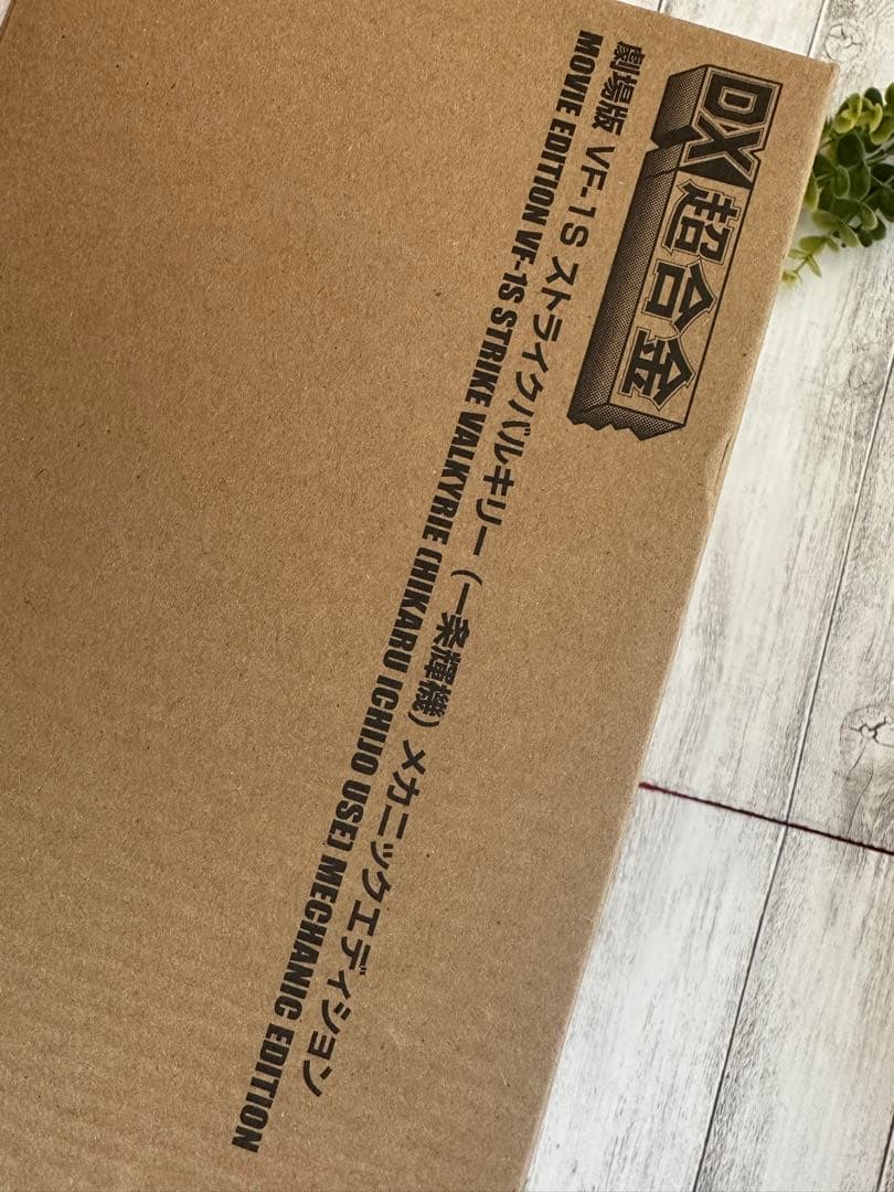 劇場版　VF-1S ストライクバルキリー(一条輝機)メカニックエディション