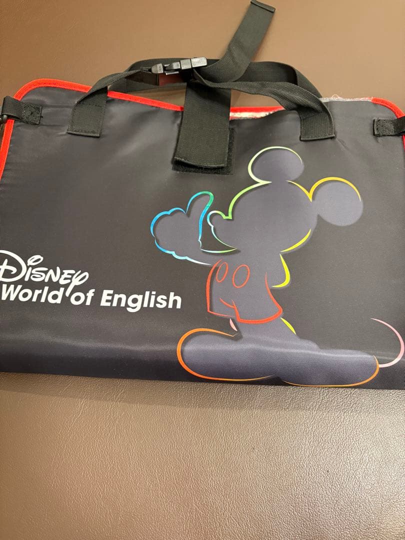 【2023年正規購入】DWE ミッキー ブルーレイメイト ※カーポケット付き