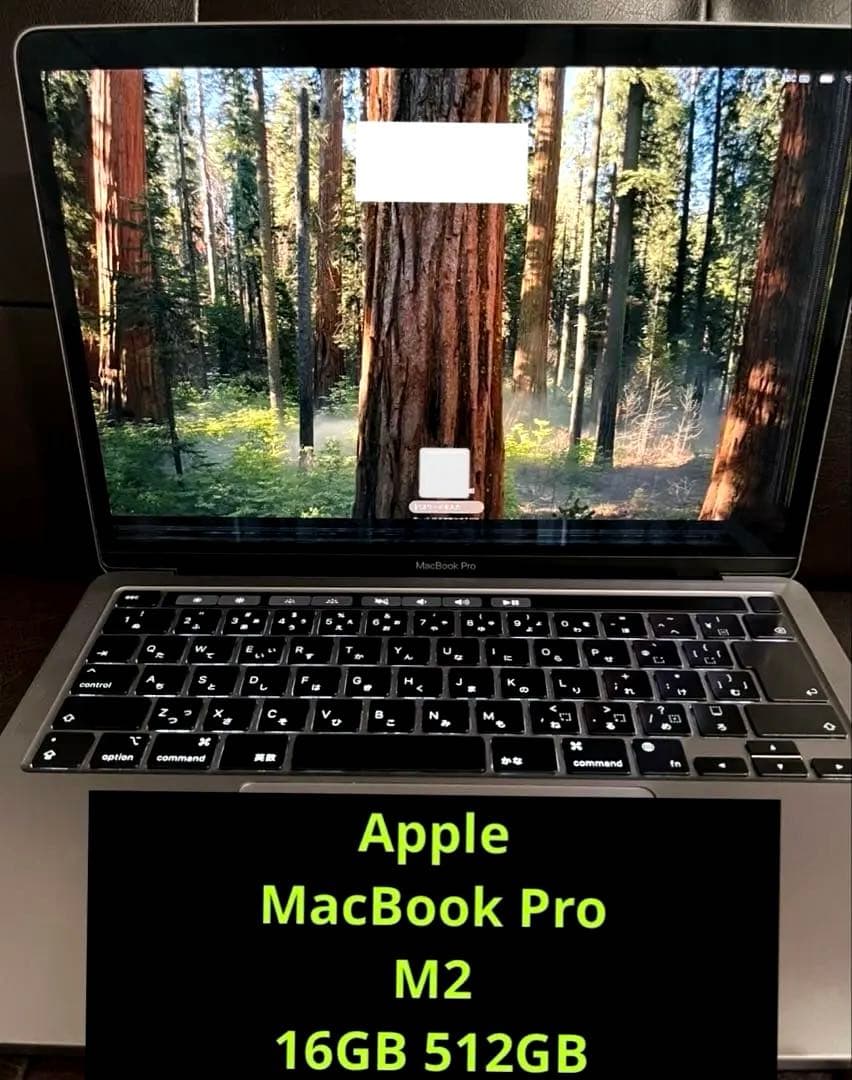 MacBook本体 Apple MacBook Pro M2 16GB 512GB