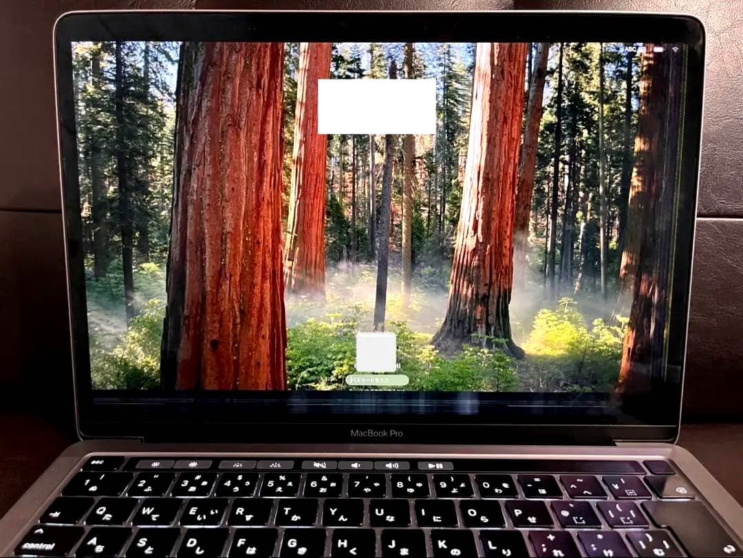 MacBook本体 Apple MacBook Pro M2 16GB 512GB