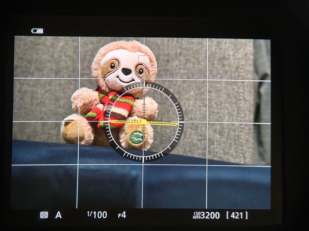 Nikon Z5 ミラーレスカメラ　本体　ボディ　ニコン　フルサイズ