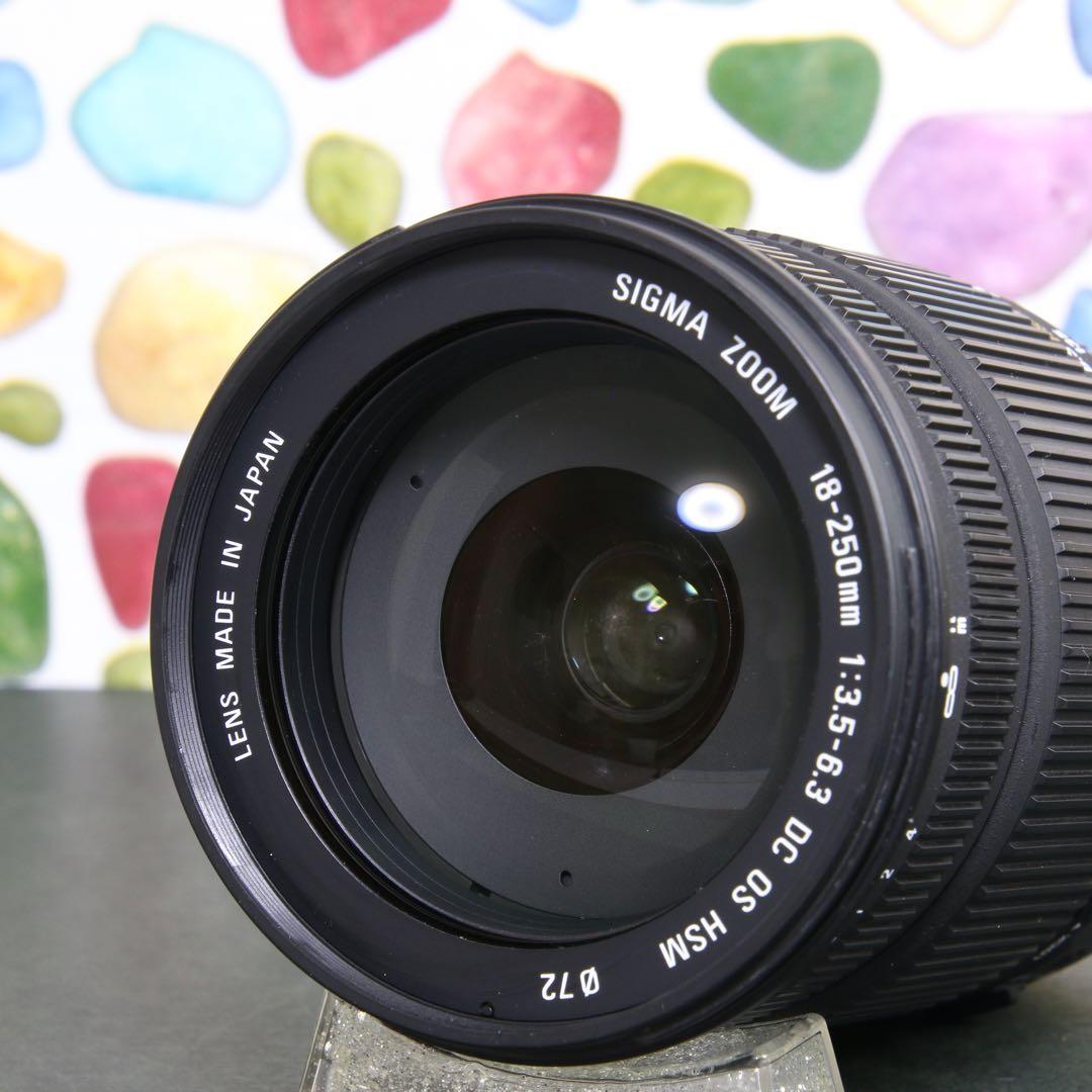 ♥︎◇近くから遠くまでこれ一本♪ SIGMA 18-250mm OS SONY