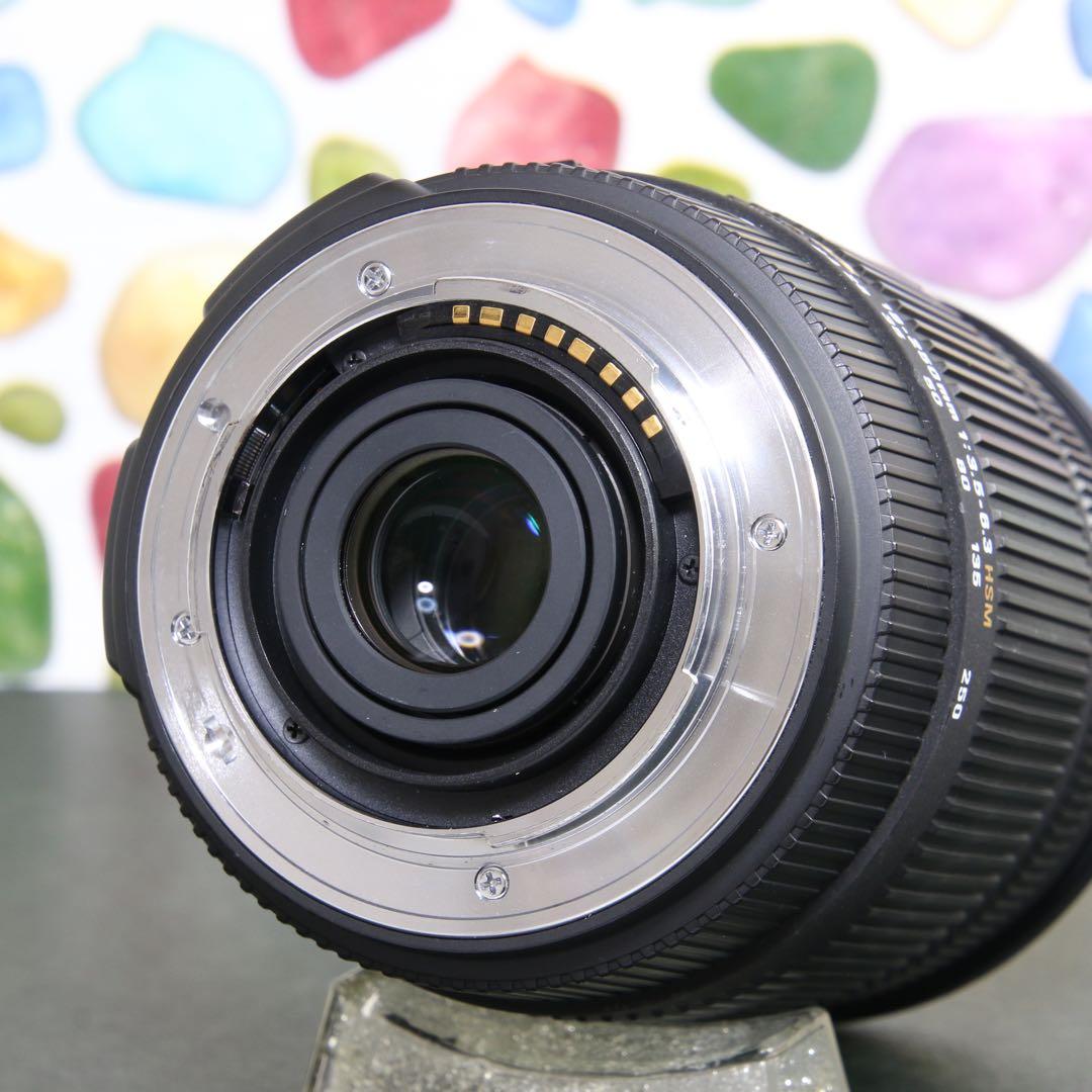 ♥︎◇近くから遠くまでこれ一本♪ SIGMA 18-250mm OS SONY