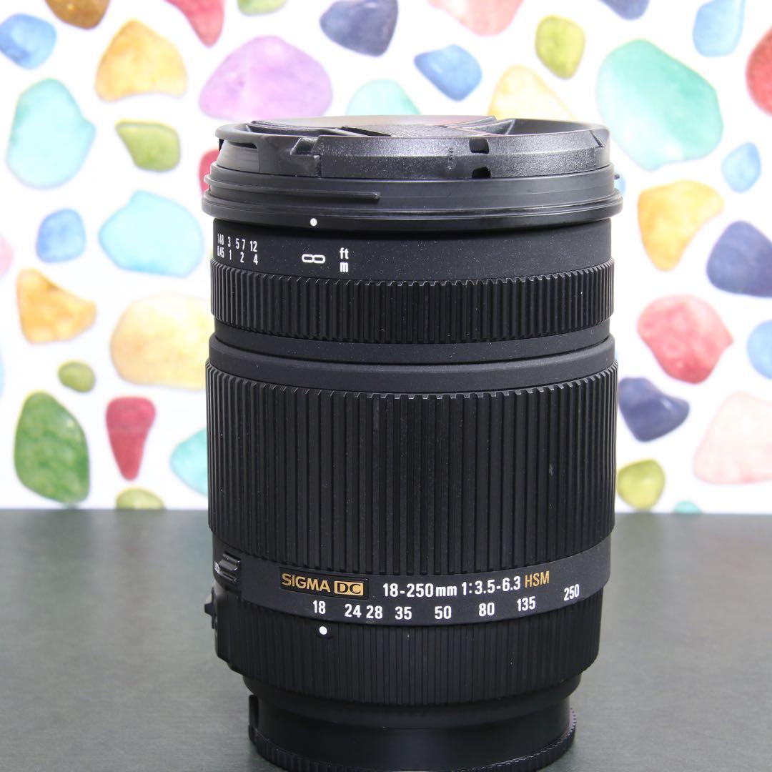 ♥︎◇近くから遠くまでこれ一本♪ SIGMA 18-250mm OS SONY