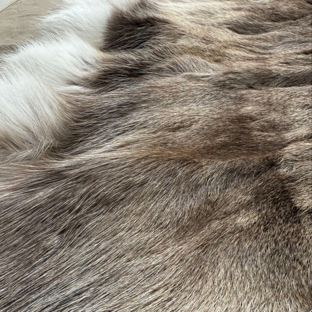 ダーラム　トナカイ毛皮