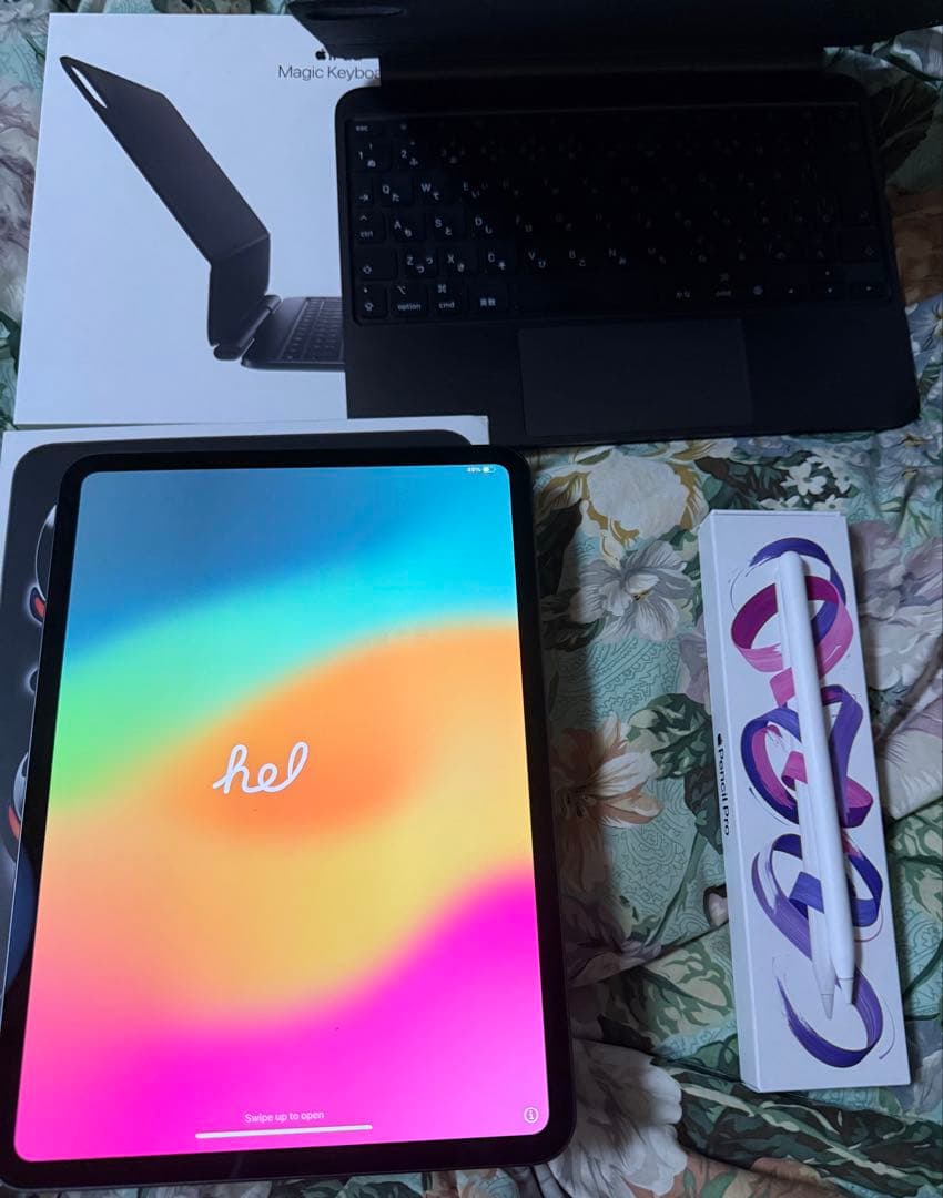 【美品】iPad pro M4 11インチ 256Gと他2点