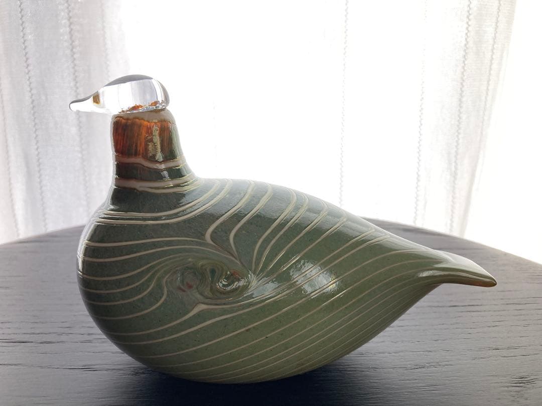 so16Nuutajärvi oiva Long-taled duck 緑