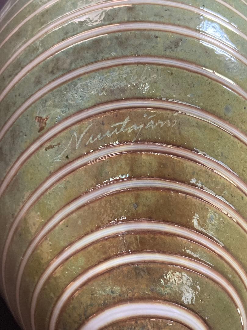 so16Nuutajärvi oiva Long-taled duck 緑