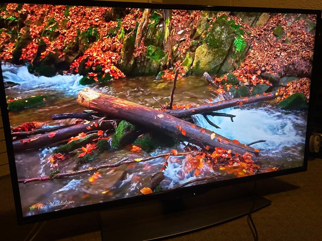 シャープ 40V型 4K液晶テレビ AQUOS 4T-C40BJ1 動画アプリ○