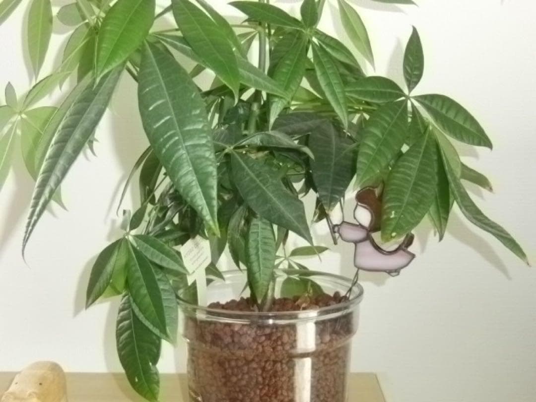 【動作確認済】CASIO EXILIM EX-FH100 デジタルカメラ