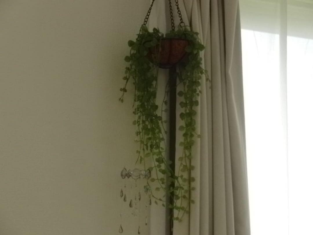 【動作確認済】CASIO EXILIM EX-FH100 デジタルカメラ