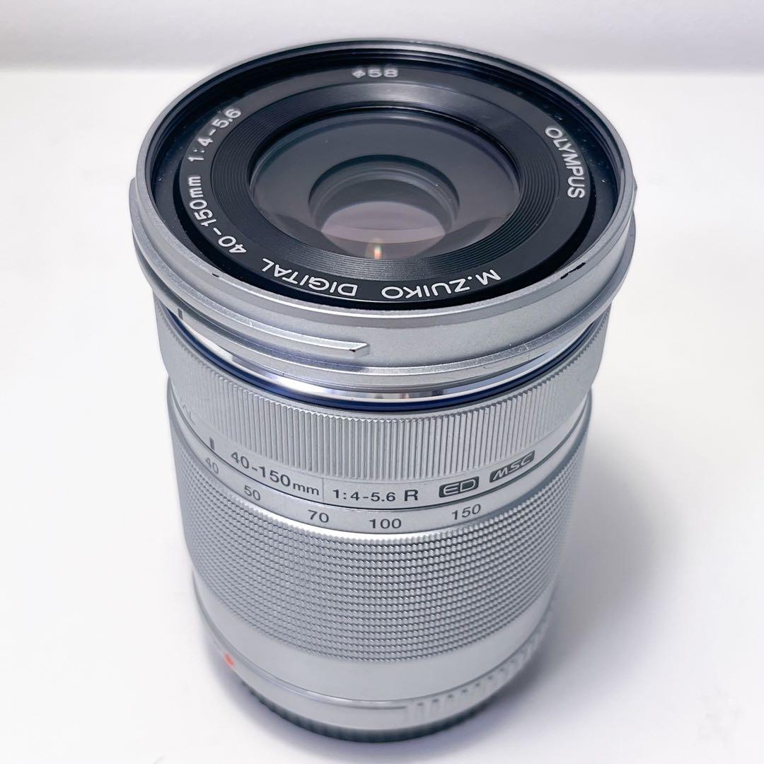 OLYMPUS PEN E-PL10 EZ ダブルレンズズームキット ブラウン