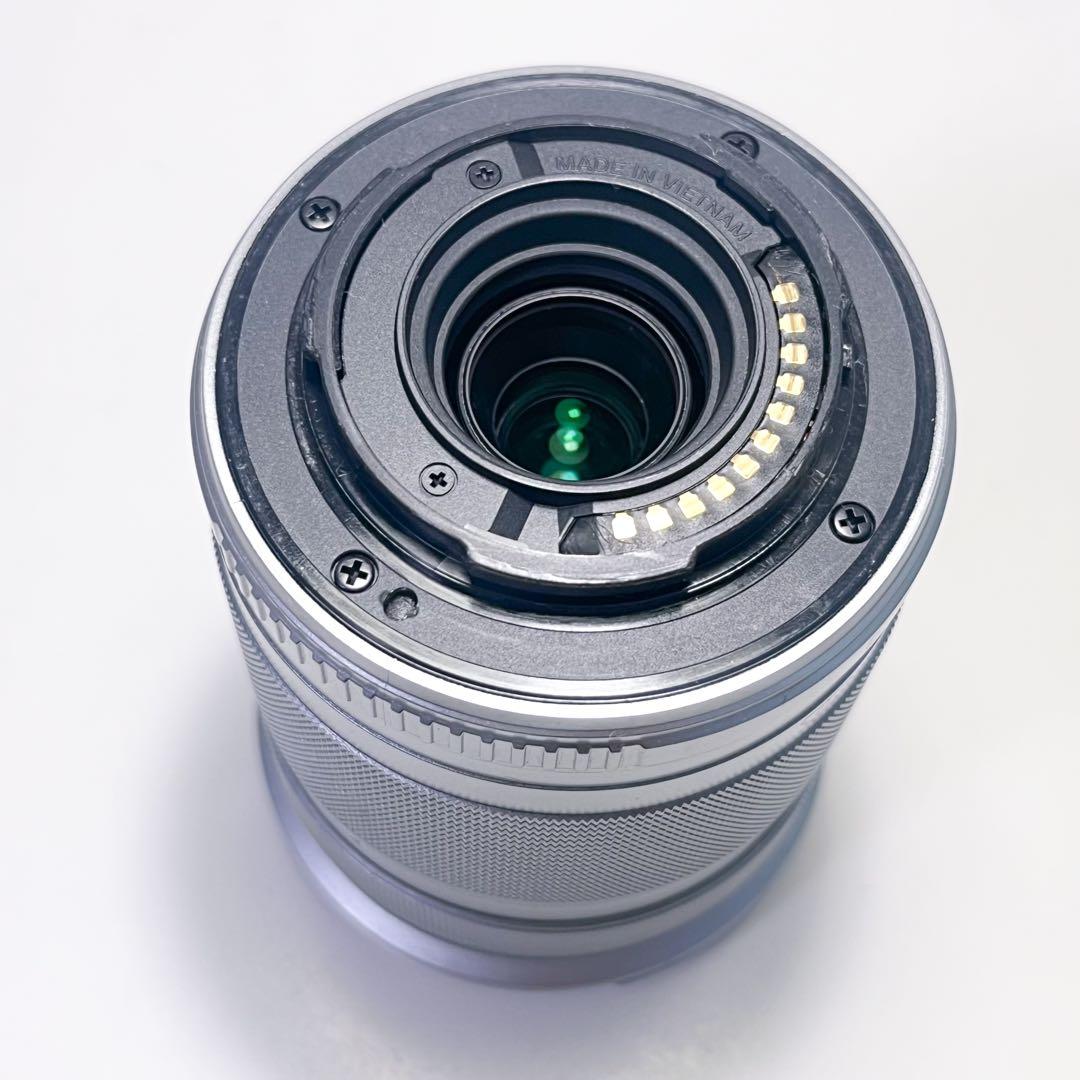 OLYMPUS PEN E-PL10 EZ ダブルレンズズームキット ブラウン