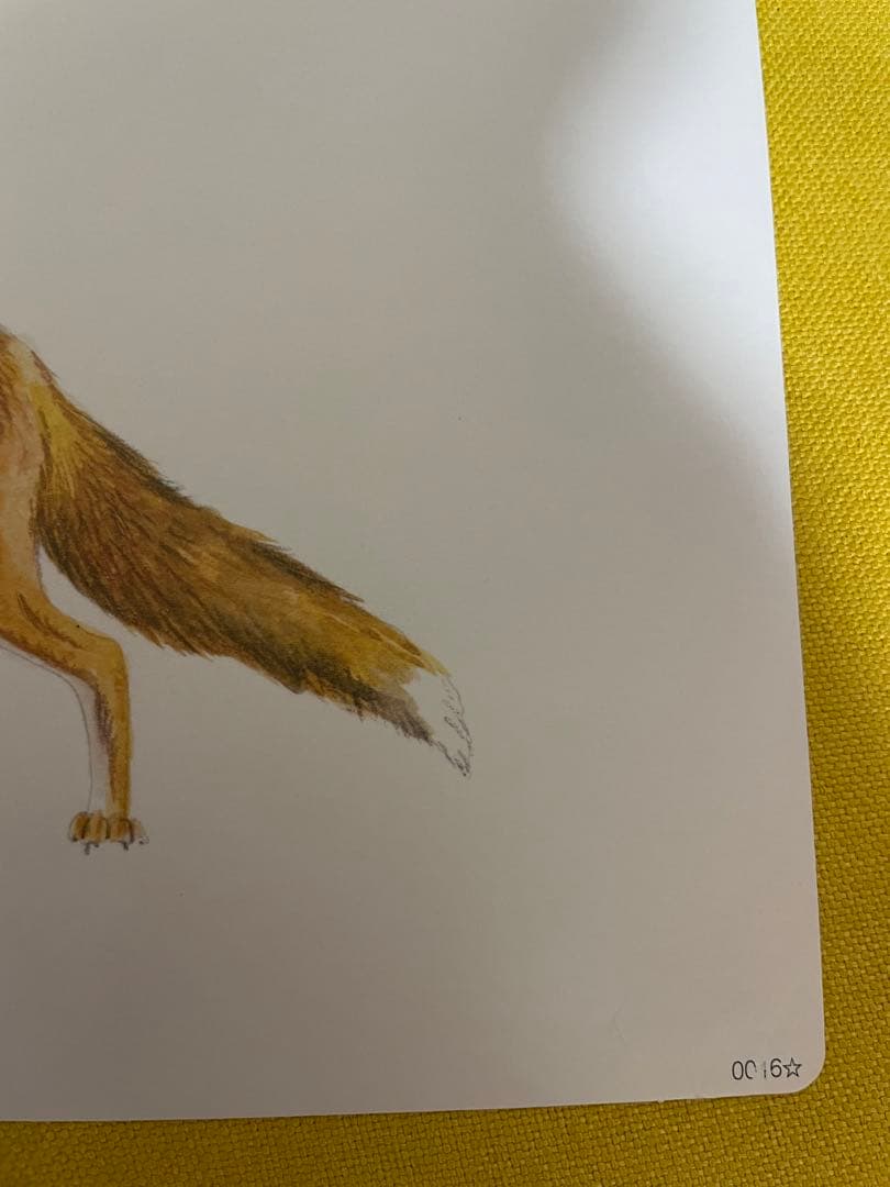 かな絵ちゃん 6冊セット A