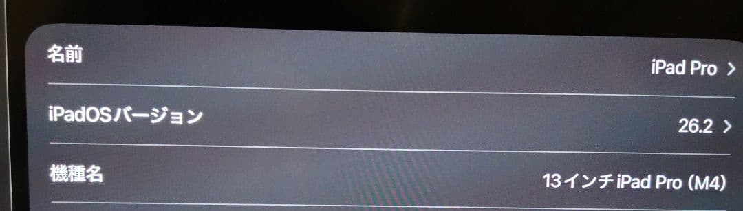 iPad Pro 13インチ M4 256GB Wi-Fi 100%充放電11回