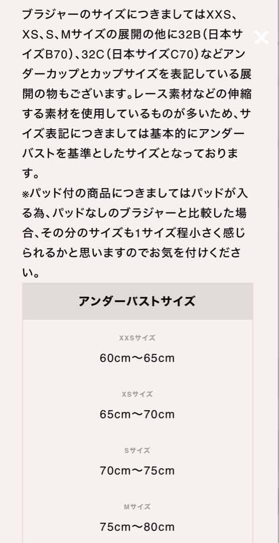 【ちゃんころもち】【新品未使用】hankpanky パープルブラ