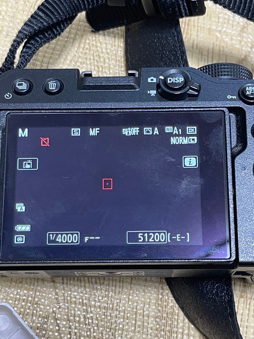 Nikon Z 30 ミラーレスカメラ