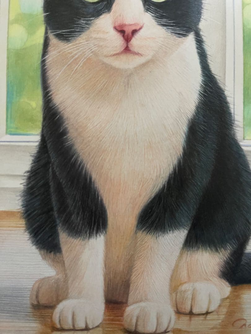 色鉛筆画 A4 ハチワレ猫126