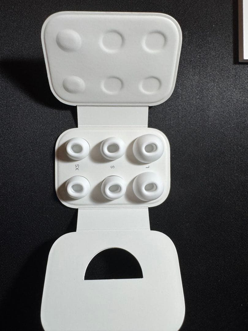 AirPods Pro 2 本体 コンプライイヤーチップ付き