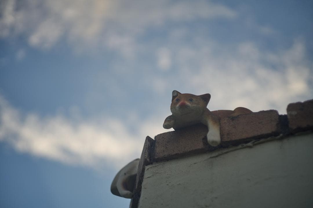 Leica Summicron 5cm F2 沈胴式 Mマウント