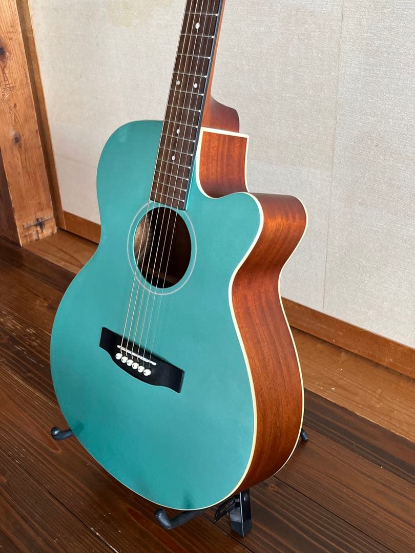 ARIA エレアコ FET-R1