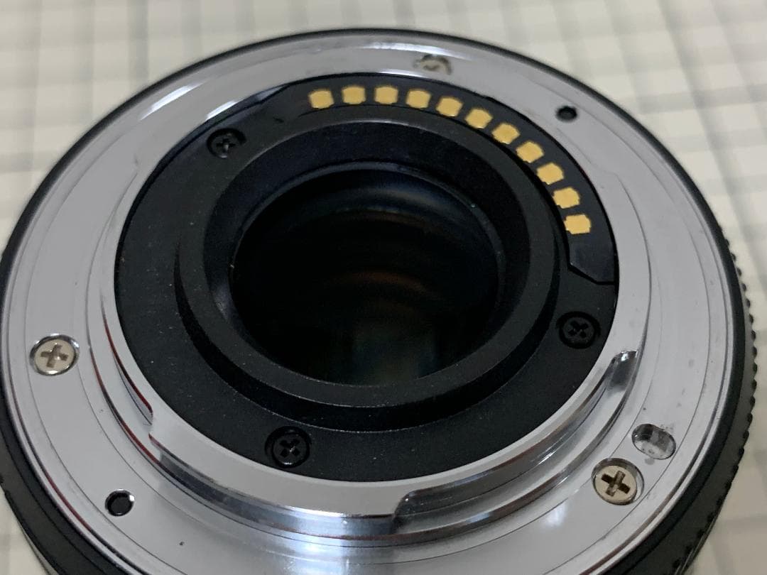 Panasonic LUMIX G VARIO 45-175mm ズームレンズ