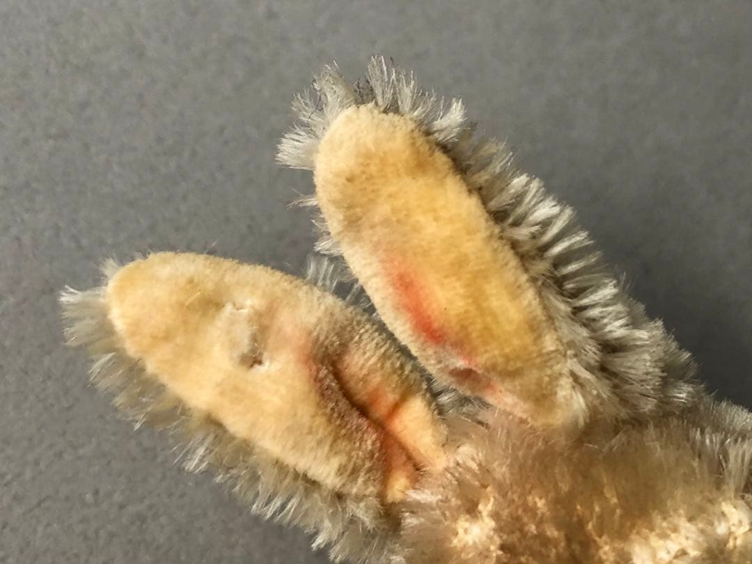 Steiff 　ウサギ　Lieg Hase