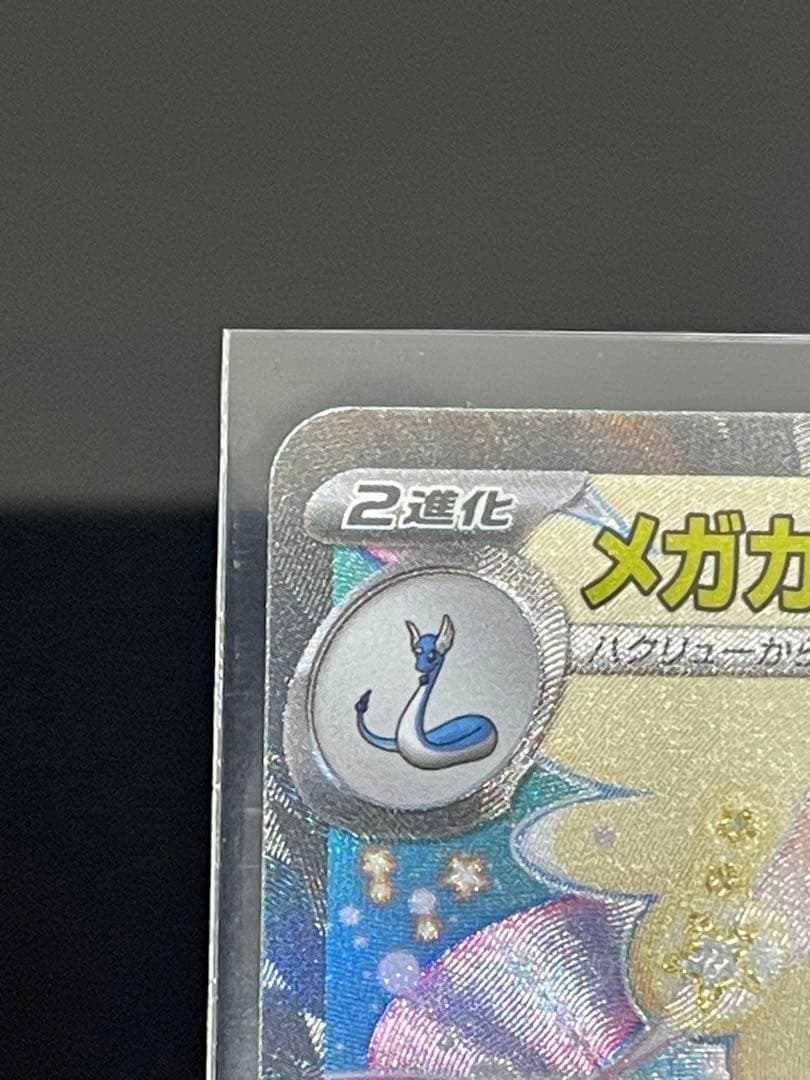 Y*Y様 センタリング良メガカイリュー 、Nのゾロアーク、メガユキメノコ　SAR