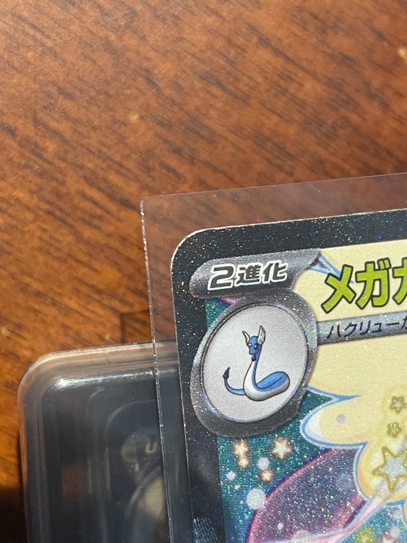 Y*Y様 センタリング良メガカイリュー 、Nのゾロアーク、メガユキメノコ　SAR