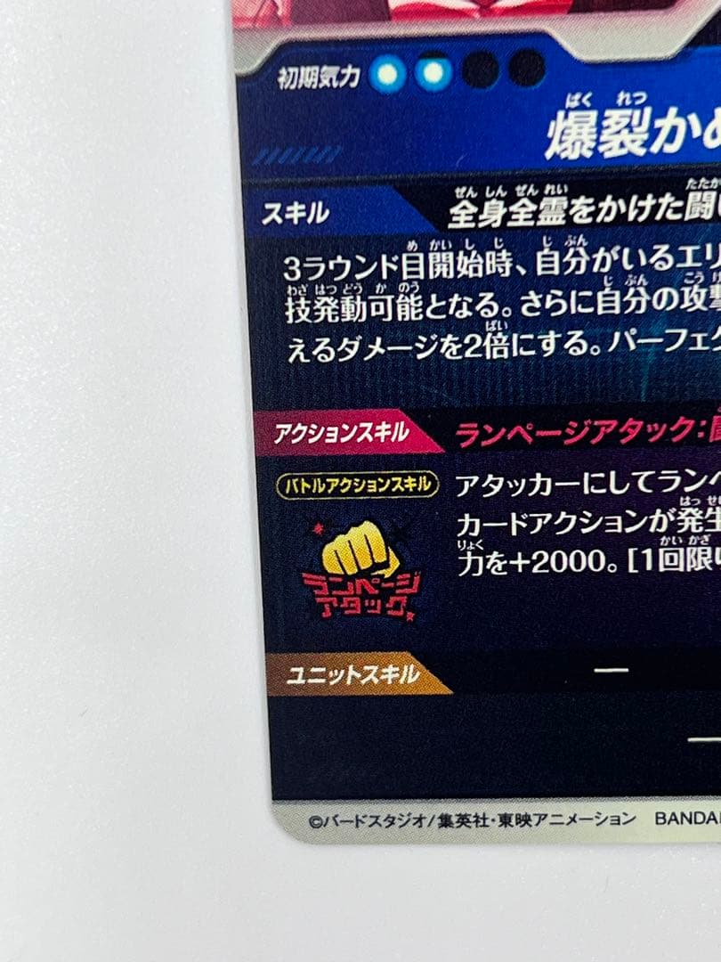 ドラゴンボールバイバース（SDV1）1弾悟飯・少年期 （GDR★/パラレル）5