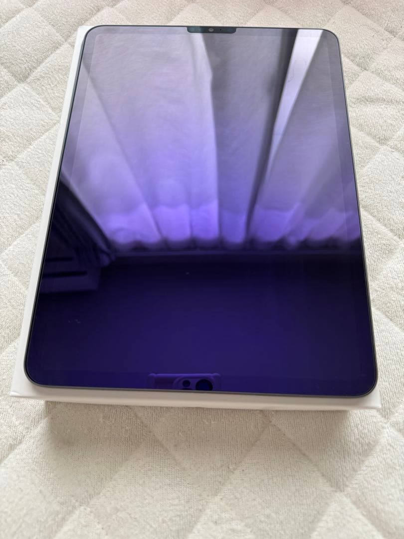 iPad Pro (第3世代) 256GB Wi-Fi スペースグレイ 本体