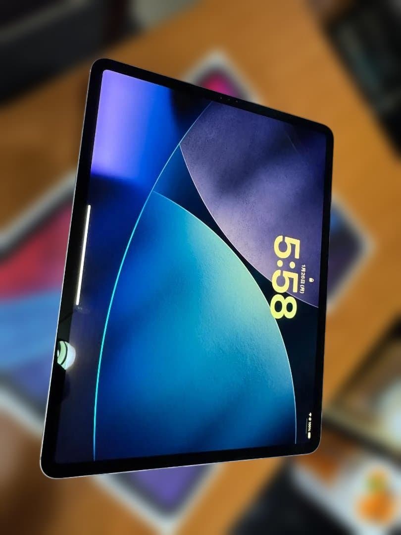 Apple iPad pro 12.9インチ256GB