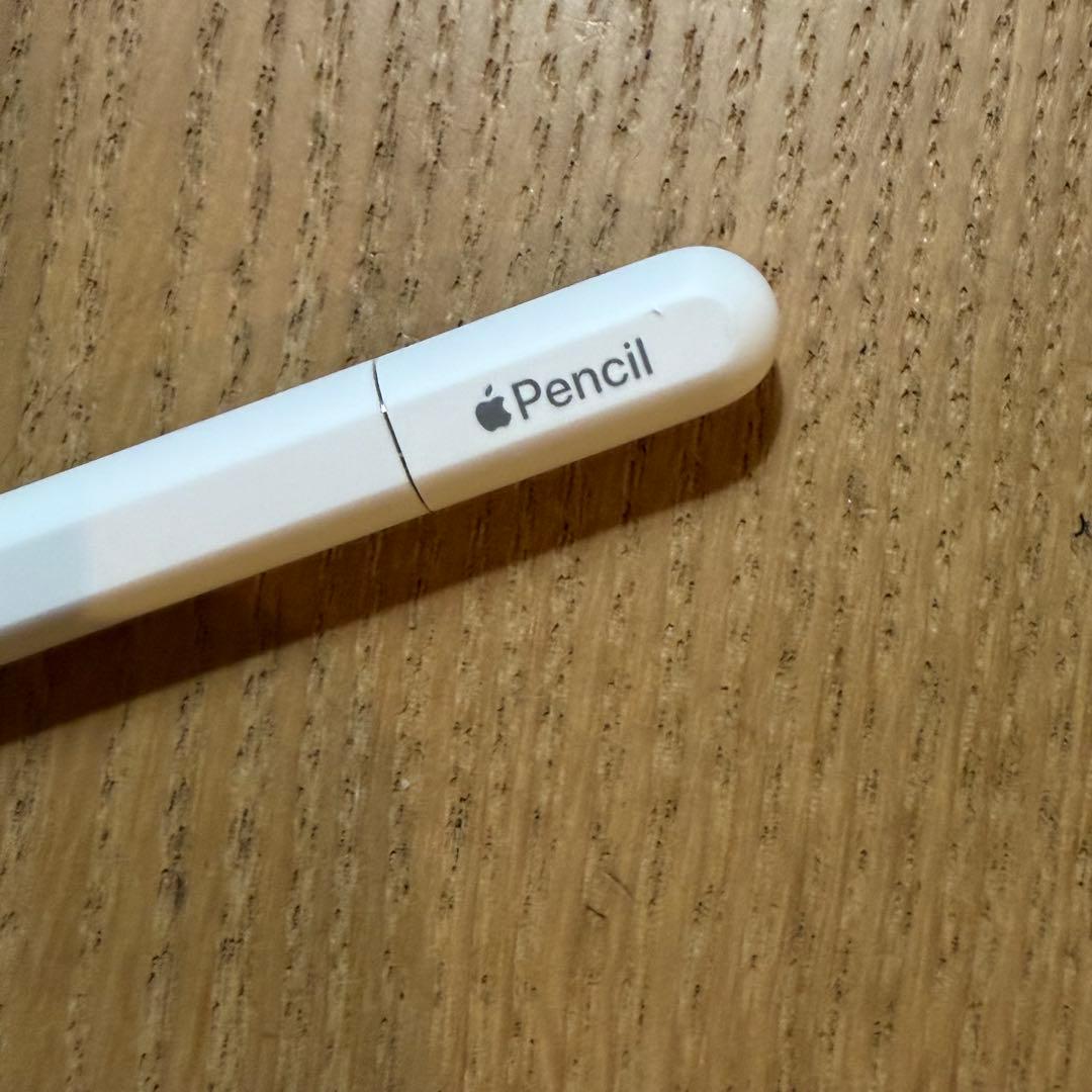 Apple Pencil USB-C アップルペンシル