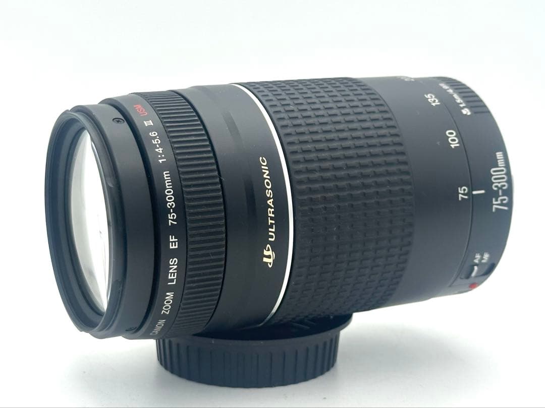 【完動品】Canon EF 28-80 EF 75-300 2本セット　動作OK