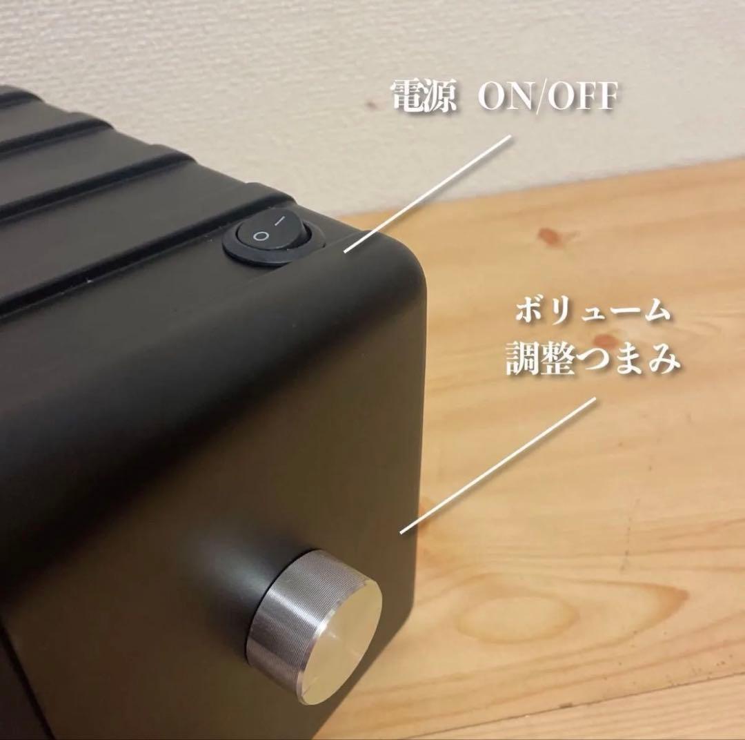 BOSE 101mm Bluetoothスピーカー 2180