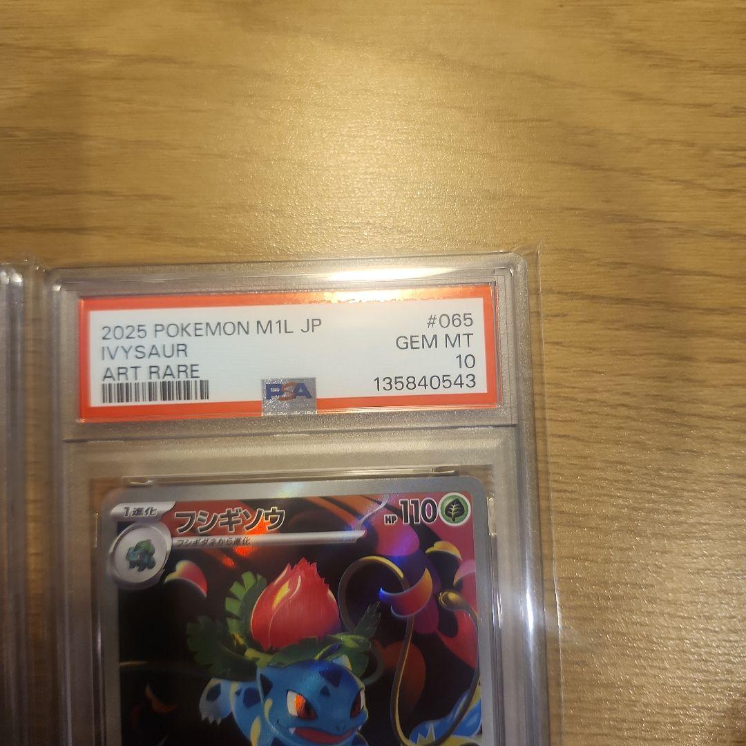 【PSA10】フシギソウ 065/063 AR 鑑定済み　2こ