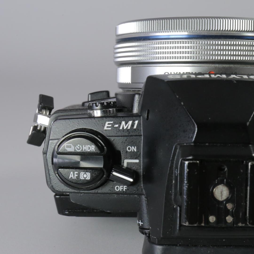 ☆良品☆ショット12,815回　OLYMPUS OM-D E-M1 ＃249