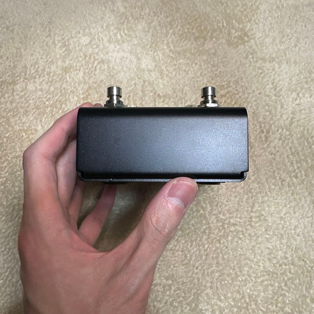 strymon FLINT トレモロリバーブ