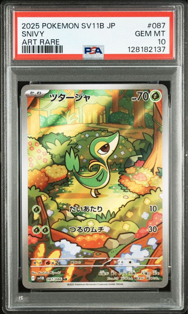 【PSA10 3連番】ジャローダex SAR 進化ライン ツタージャ ジャノビー