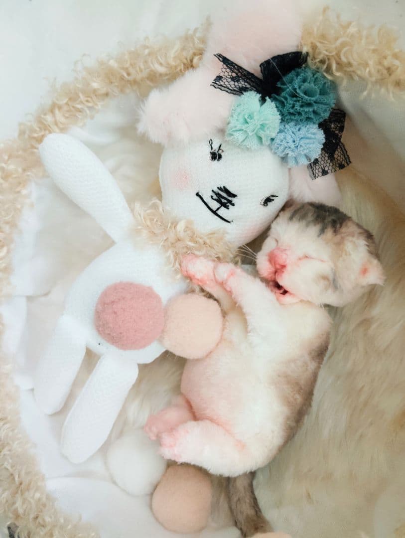 お世話してね❤生後１日子猫ちゃん♡バスケットとクマたん♡アートドール♡ぬいぐるみ